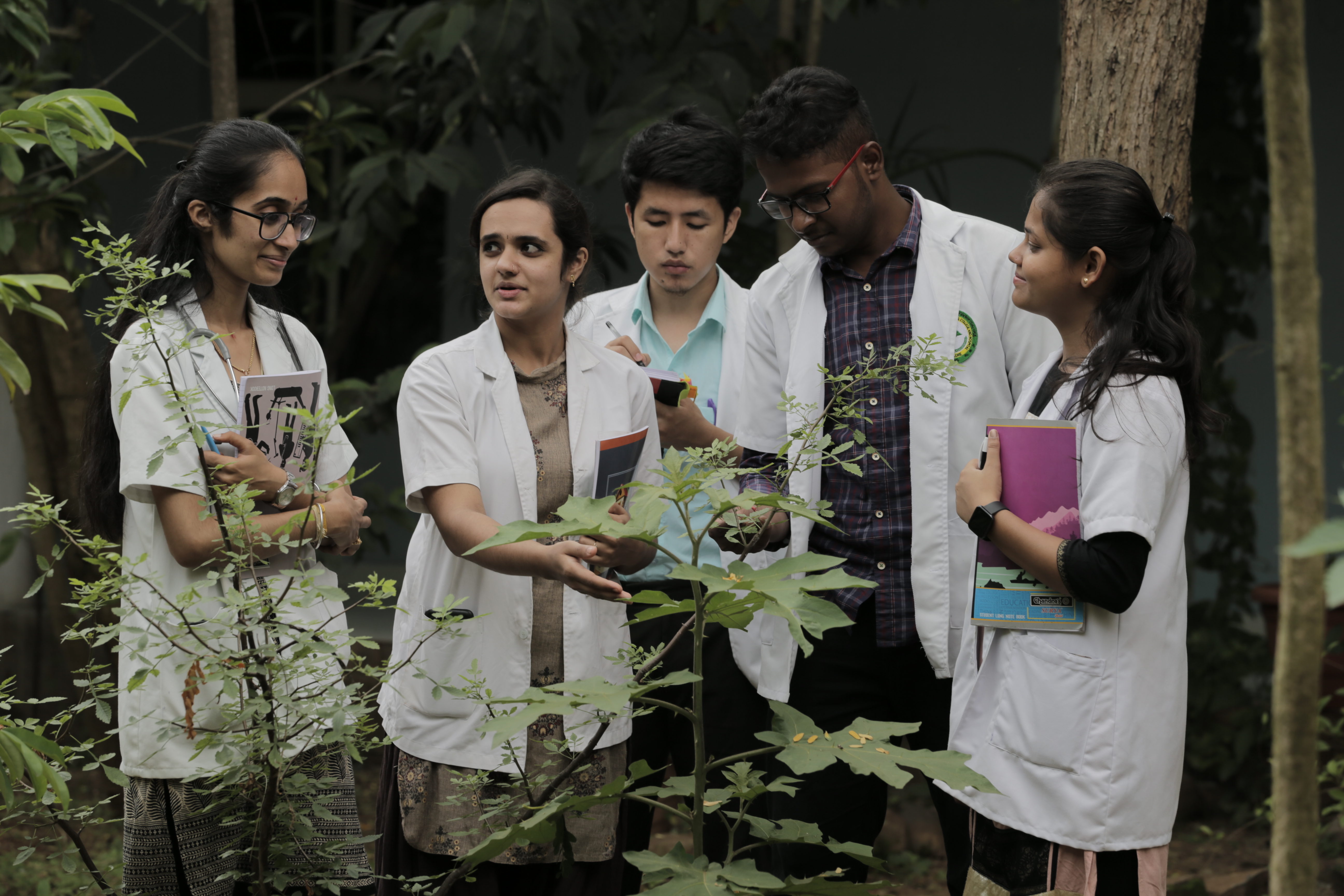 Herbal Garden at Sushrutha Ayurveda